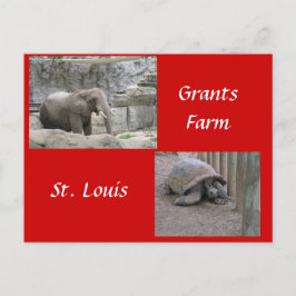 Cartão Postal Grants Farm
