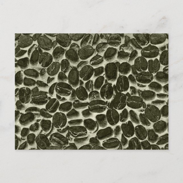 Cartão Postal grãos de café de cacau (Frente)