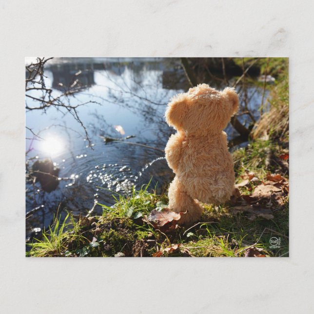 Cartão Postal Grappige beer die ondeugend plast. (Frente)