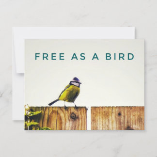 Cartão Postal Gratuito como Cartão-postal para pássaros