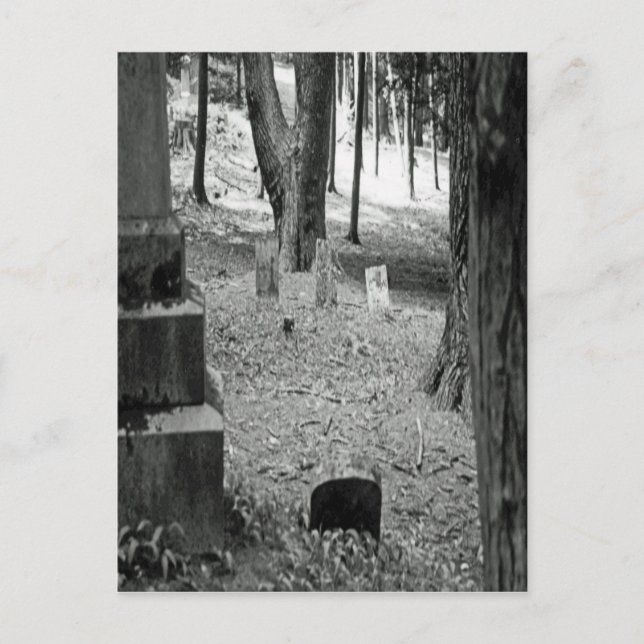 Cartão Postal Grave Esquecido (Frente)