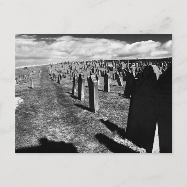 Cartão Postal Gravestones, Whitby Abbey, Whitby, North Yorkshire (Frente)