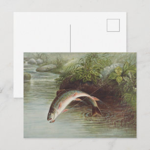 Cartão Postal Gravura Antiga de Truta Saltando de um Riacho para