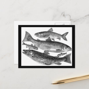 Cartão Postal Gravura de Peixe Antiga