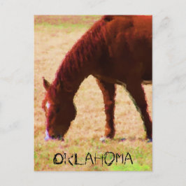 Cartão Postal Grazing