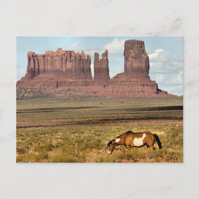 Cartão Postal Grazing de Cavalos, Monument Valley, UT (Frente)