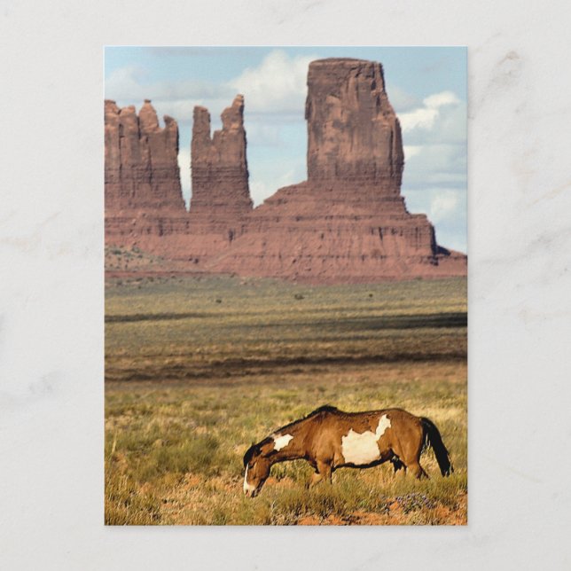 Cartão Postal Grazing de Cavalos, Monument Valley, UT (Frente)