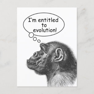 Cartão Postal Great Ape Evolution Entitlement