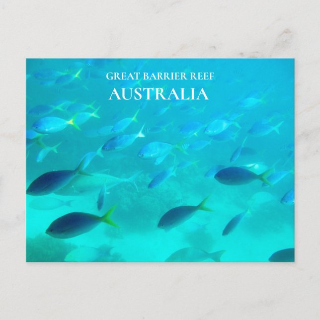 Cartão Postal Great Barrier Reef Queensland Australian travel (Frente)