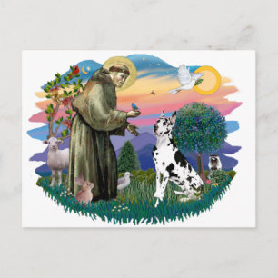 Cartão Postal Great Dane (Harlequin)