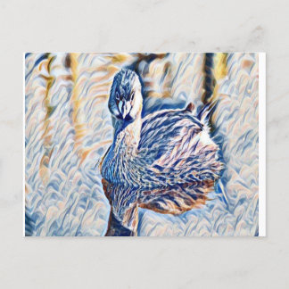 Cartão Postal Grebe