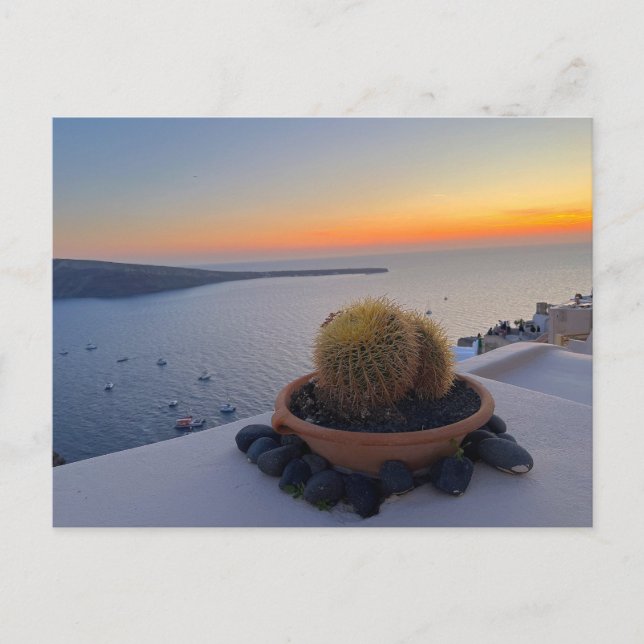 Cartão Postal Grécia Cactus Santorini Fotografia Sunset (Frente)
