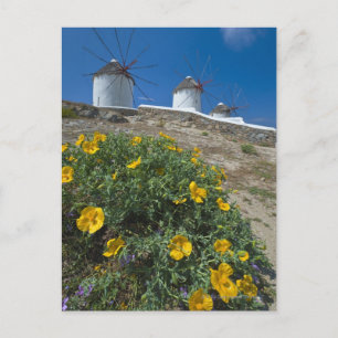 Cartão Postal Grécia, Ilhas Cyclades, Mykonos, Flores perto