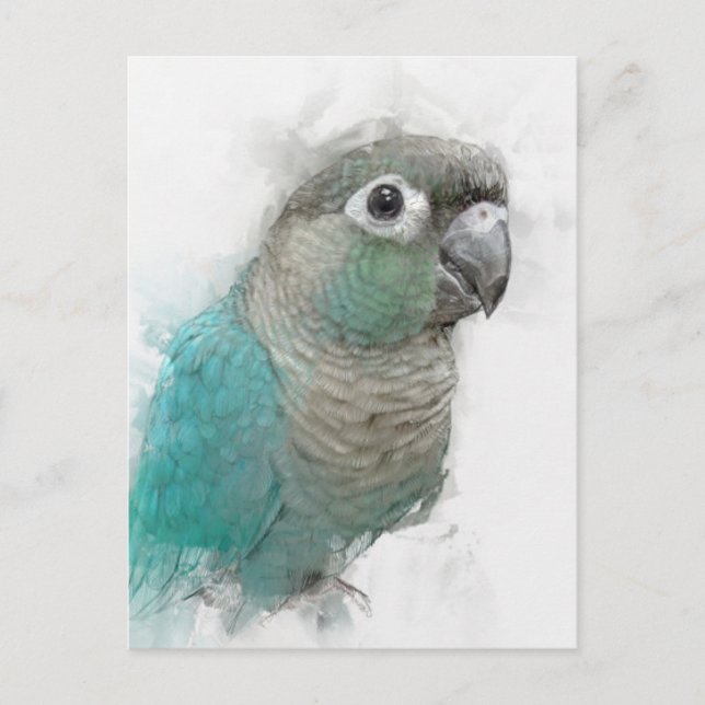 Cartão postal Green Conure n.o 3 (Frente)