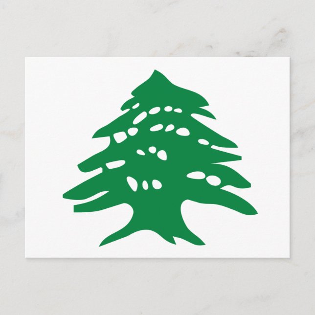Cartão Postal Green Lebanon Cedar Tree (Frente)