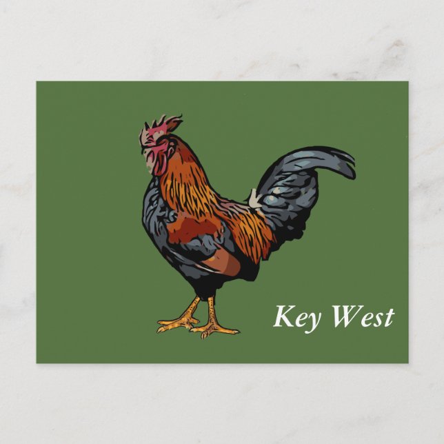 Cartão Postal Green Rooster Key West Posta Card (Frente)