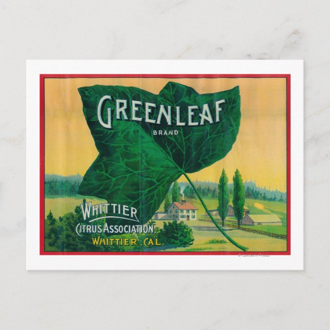 Cartão Postal Greenleaf Lemon LabelWhittier, CA (Frente)
