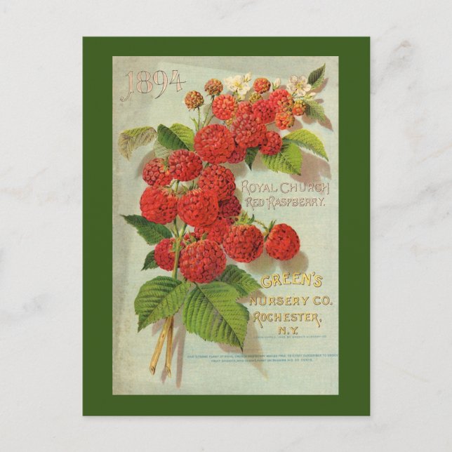 Cartão Postal Green's Nursery Co. Advertisement (Frente)