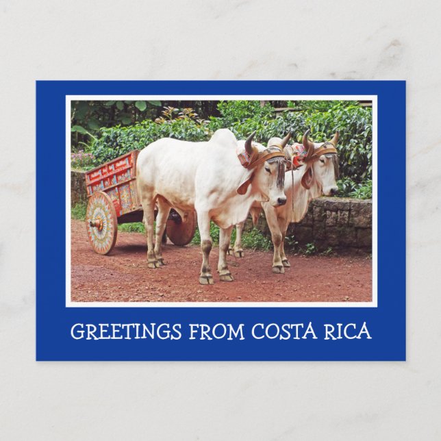 CARTÃO POSTAL GREETINGS DE COSTA RICA/OXCART E OXEN (Frente)