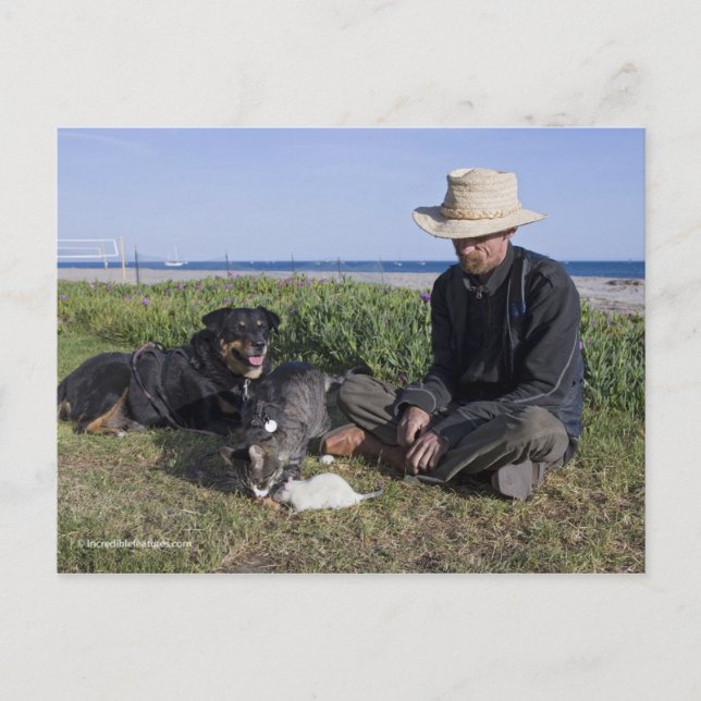 Cartão Postal Greg Pike com Booger, Gatinho e Mousey (Frente)