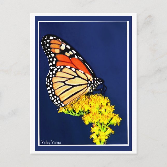 Cartão Postal Greve Amarela e Monarca (Frente)