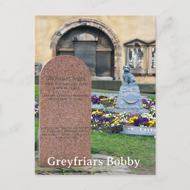 Cartão Postal Greyfriars Bobby, Edimburgo (Frente)