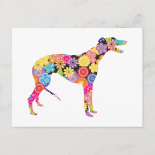 Cartão Postal Greyhound