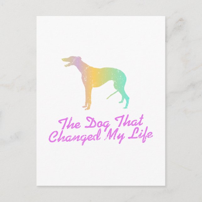 Cartão Postal Greyhound (Frente)