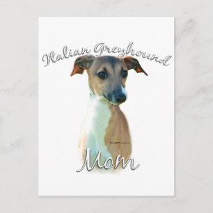 Cartão Postal Greyhound 2