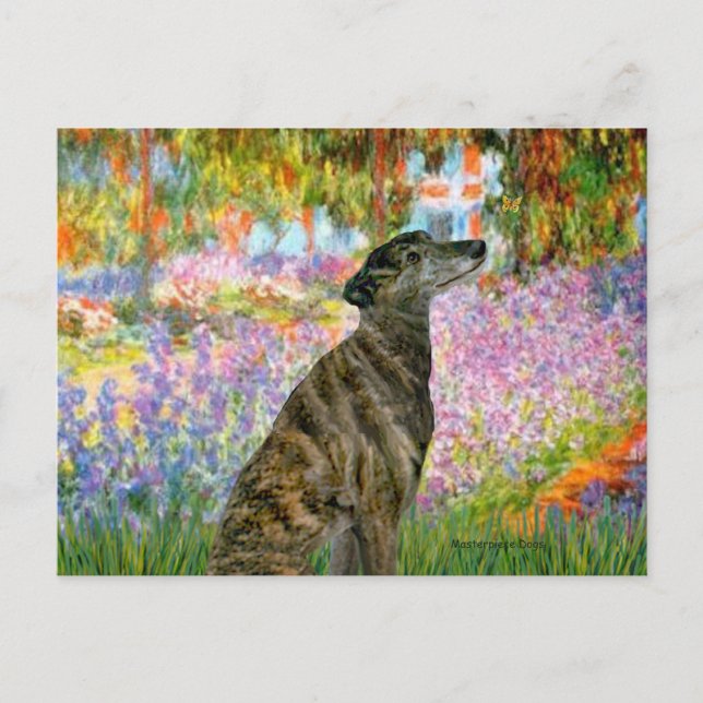Cartão Postal Greyhound (br2) - Jardim (Frente)