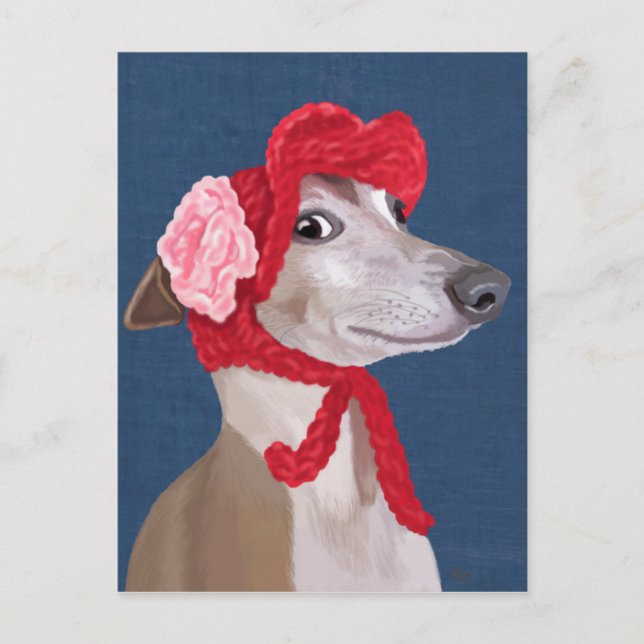 Cartão Postal Greyhound com Red Wooly Hat (Frente)