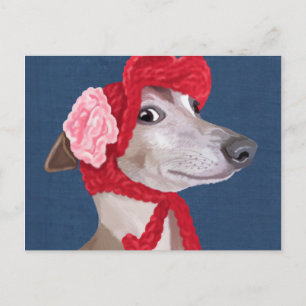 Cartão Postal Greyhound com Red Wooly Hat