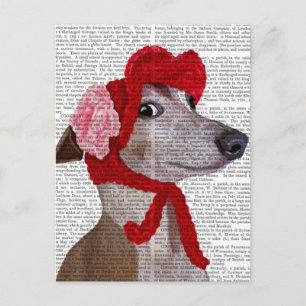 Cartão Postal Greyhound com Red Wooly Hat 2