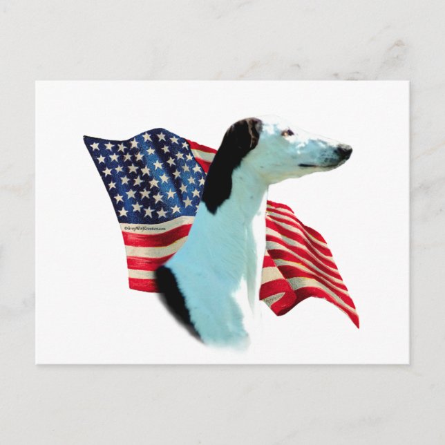 Cartão Postal Greyhound Flag (Frente)