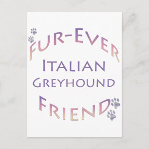 Cartão Postal Greyhound Fuere Italiano