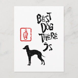 Cartão Postal Greyhound Italiano