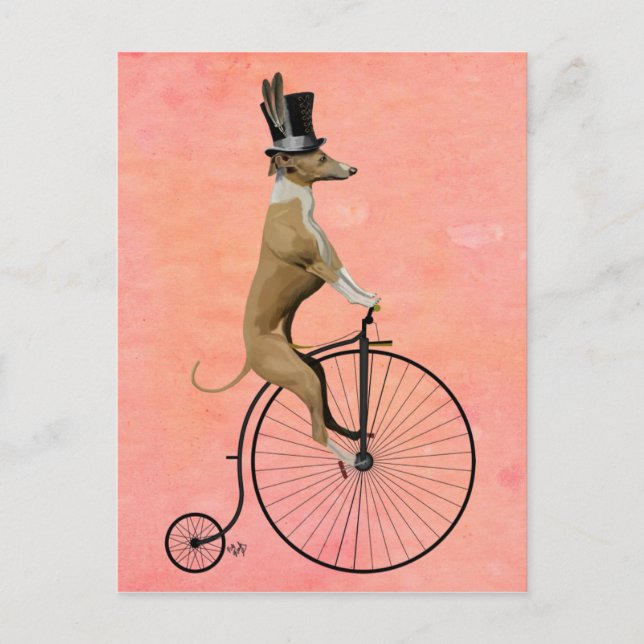 Cartão Postal Greyhound no Black Penny Farthing (Frente)