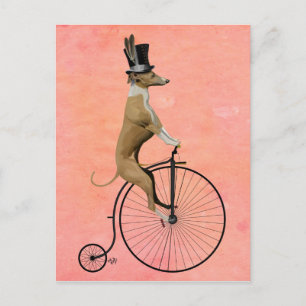 Cartão Postal Greyhound no Black Penny Farthing