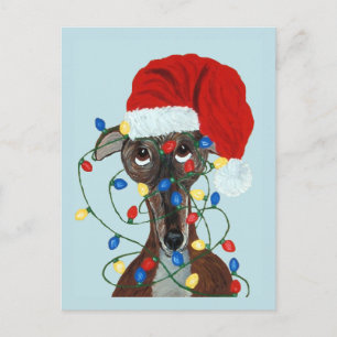 Cartão Postal Greyhound Papai Noel Enroscado Em Luzes De Natal
