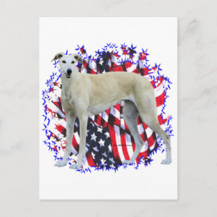 Cartão Postal Greyhound Patriot
