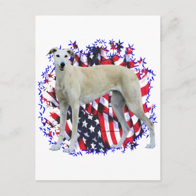 Cartão Postal Greyhound Patriot (Frente)