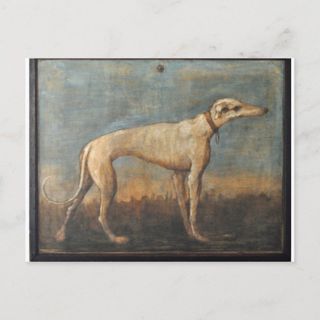 Cartão Postal Greyhound por Giovanni Domenico Tiepolo (Frente)