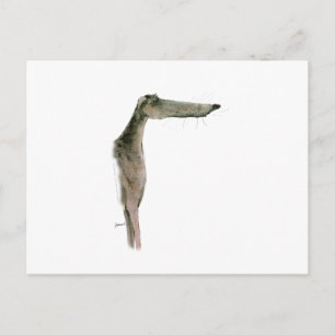 Cartão Postal Greyhound, tony fernandes
