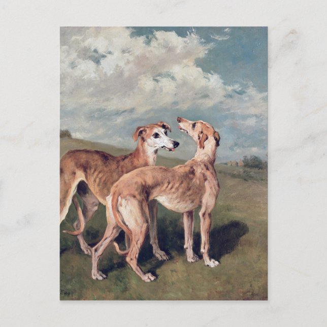 Cartão Postal Greyhounds (Frente)