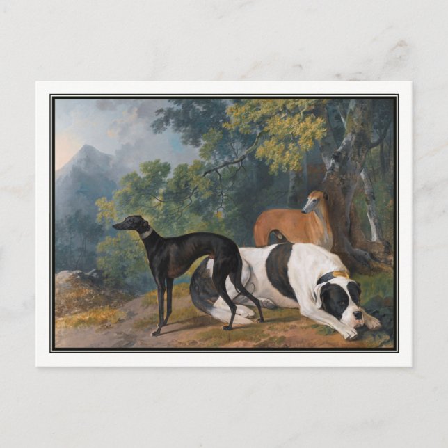 Cartão Postal Greyhounds e Mastiff por Sawrey Gilpin (Frente)