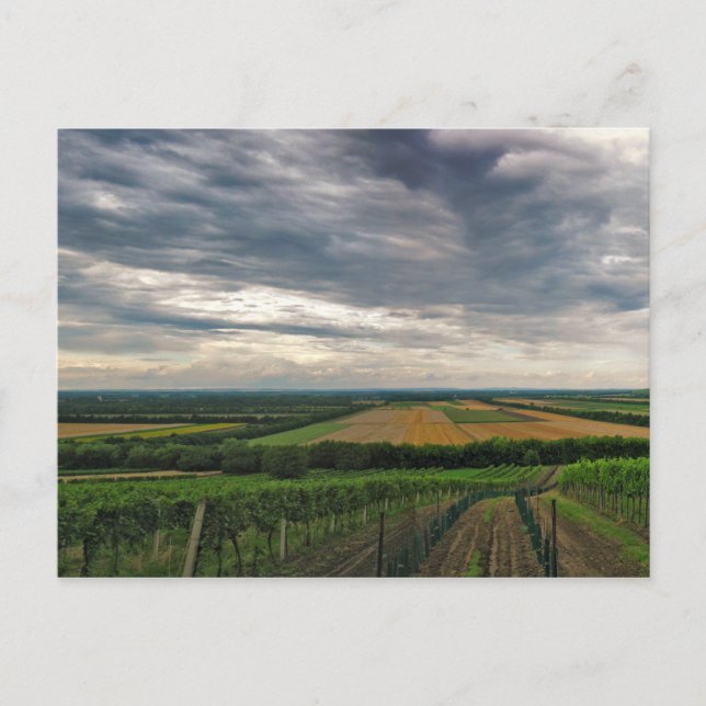 Cartão postal "Griffin" (Frente)