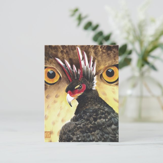 Cartão Postal Griffin Sight Card Art (Em pé/Frente)