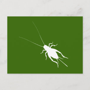 Cartão Postal Grilo Branco