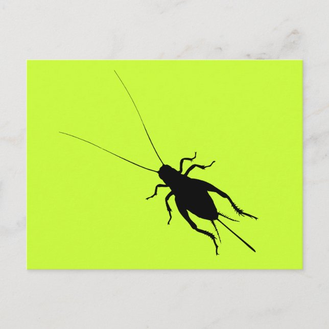 Cartão Postal Grilo Preto (Frente)