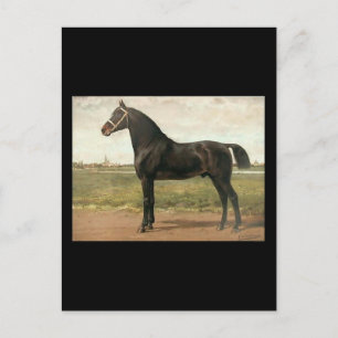 Cartão Postal Groningen by Otto Eerelman